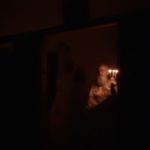 come_to_the_light