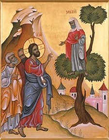 Zacchaeus Sunday